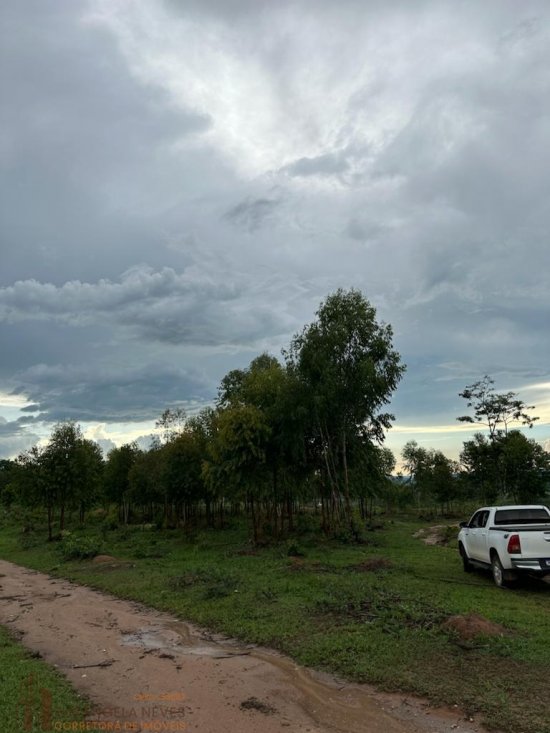 sitio-venda-terreno-rural-na-regiao-de-paneleiros-rodrigues--807064