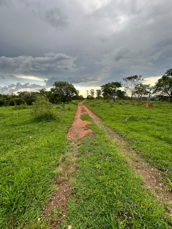 sitio-venda-terreno-rural-na-regiao-de-paneleiros-rodrigues--807067