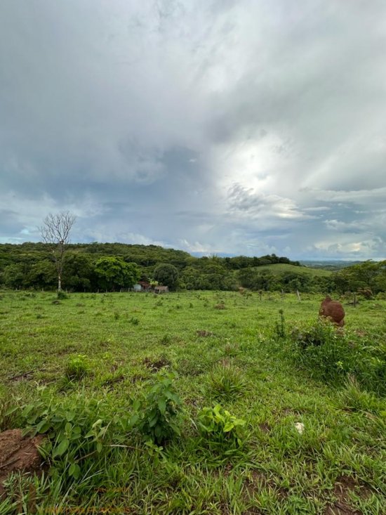 sitio-venda-terreno-rural-na-regiao-de-paneleiros-rodrigues--807069