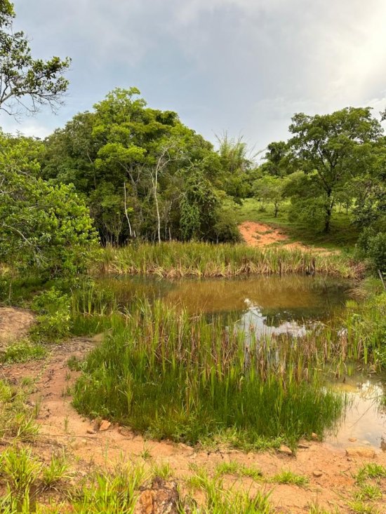 sitio-venda-terreno-rural-na-regiao-de-paneleiros-rodrigues--807071