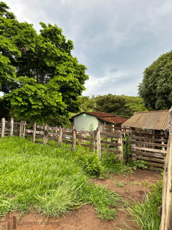 sitio-venda-terreno-rural-na-regiao-de-paneleiros-rodrigues--807072