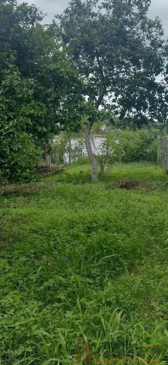 chacara-venda-comunidade-rural-de-fazenda-vehlha-803120